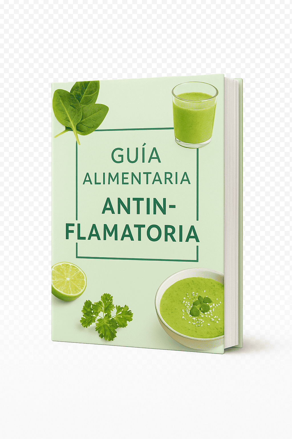 Guía Alimentaria Mockup